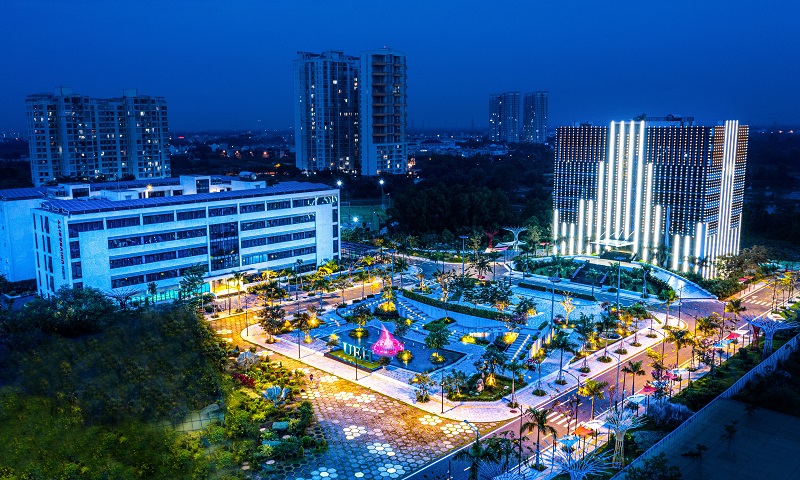 cá cược thể thao hul city